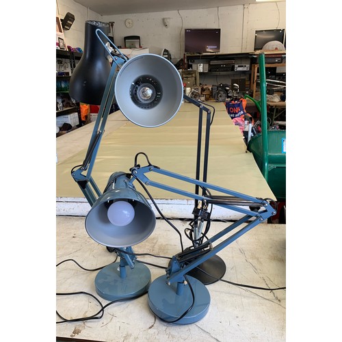 2174 - Three anglepoise lamps; 2 blue, 1 black