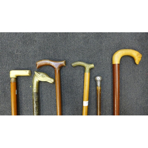 809 - Six walking canes including one with silver top