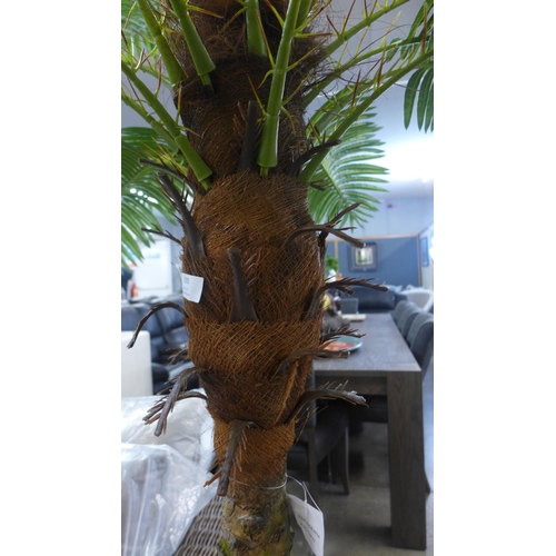 1305 - An ornamental large palm tree, H 200cms (AF5475)   #