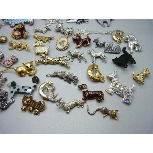 866 - A collection of dog and cat brooches