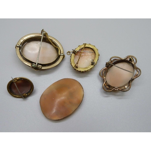 925 - Four cameo brooches and one unmounted cameo plaque