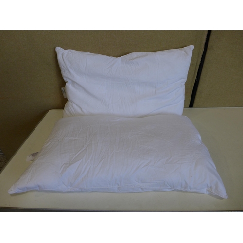 3005 - 2 Snuggle down pillows (269-801)  * This lot is subject to vat