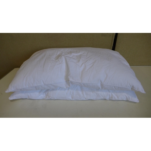 3005 - 2 Snuggle down pillows (269-801)  * This lot is subject to vat