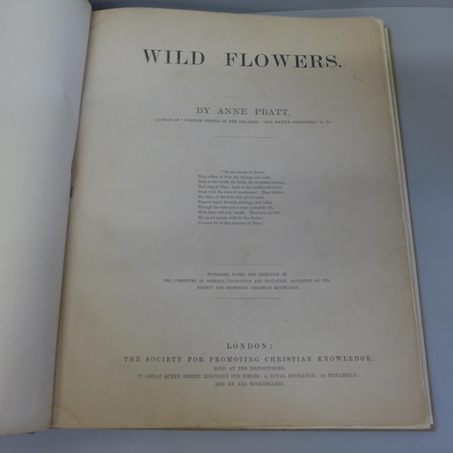 719 - Wild Flowers, Anne Pratt, circa 1860, re-bound