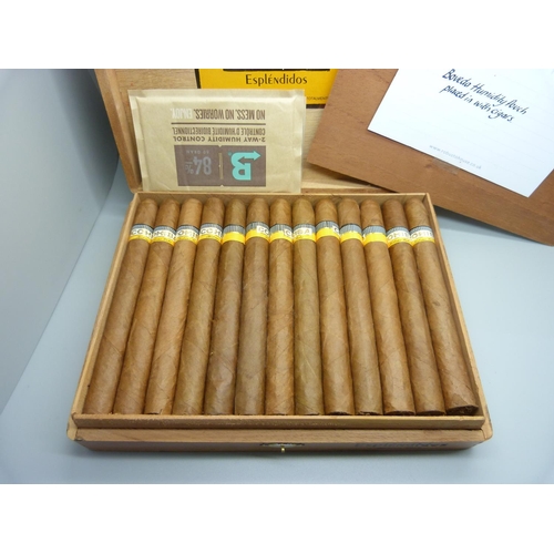 848 - A box of 25 Cohiba Esplendidos Cuban cigars