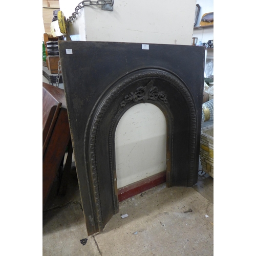 248 - An early Victorian cast iron fire insert