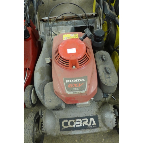 2375 - Mountfield Empress and Honda GXV2 petrol-driven lawn mowers