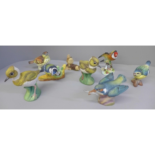 617 - Eight bird figures including Royal Worcester, Adderley and J. Bromley Staffordshire