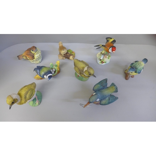 617 - Eight bird figures including Royal Worcester, Adderley and J. Bromley Staffordshire
