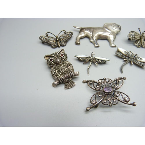 1157 - A collection of silver brooches including amethyst set, marcasite owl, Mexico silver bulldog brooch,... 