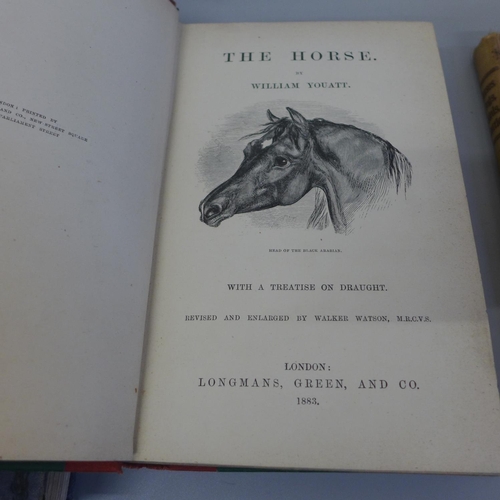 802 - Two books on Horse Management and a book on Horses, dogs, birds and cattle