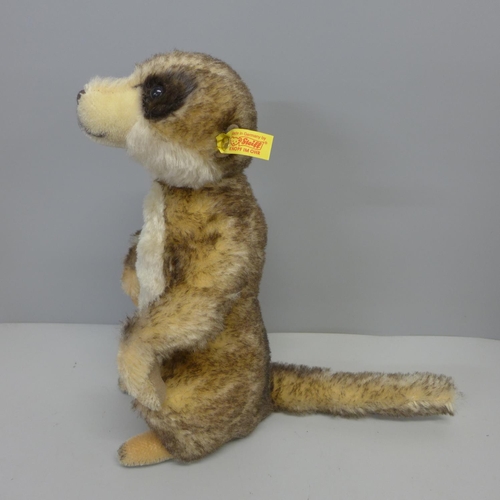 812 - A Steiff meerkat