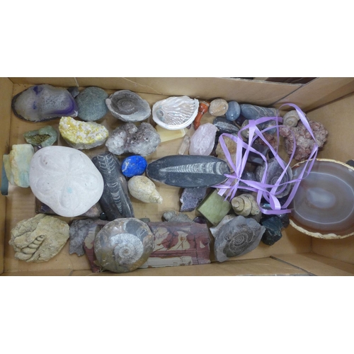 827 - A box of mineral samples and fossils