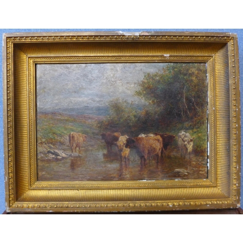 29 - George Cole (19th Century), river landscape with cattle watering, oil on canvas, 35 x 50cms, framed