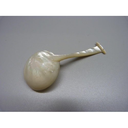 1024 - A 19th Century carved mother of pearl caddy spoon