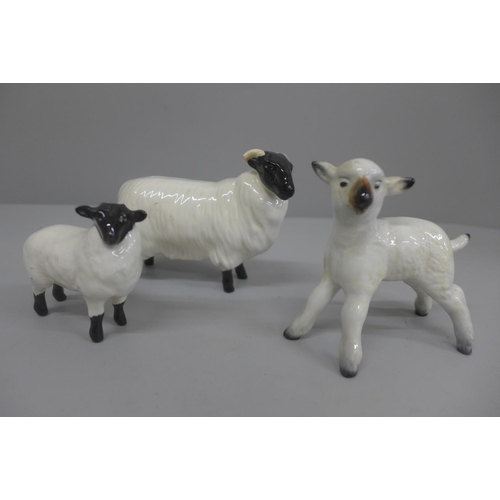 644 - Two Beswick sheep and a lamb, one a/f (horns chipped)