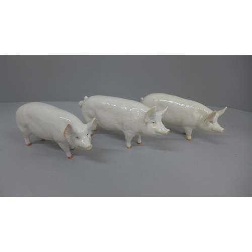 646 - Three Beswick pigs, Champion Wall Queen x2 and Champion Bay