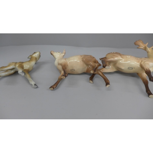 647 - A Beswick stag and doe and a model of a foal