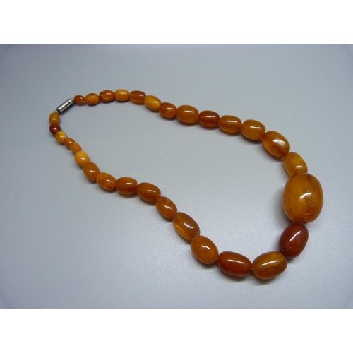 954 - A butterscotch amber necklace, largest bead a/f, 31g