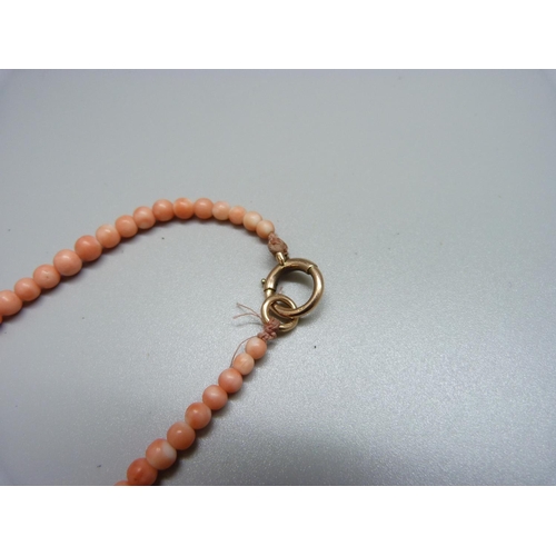 957 - A carved coral necklace with 9ct gold clasp