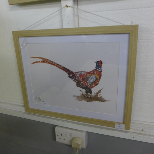 1343B - A Meg Hawkins framed pheasant print, 40 x 50cms (MH102710)   #