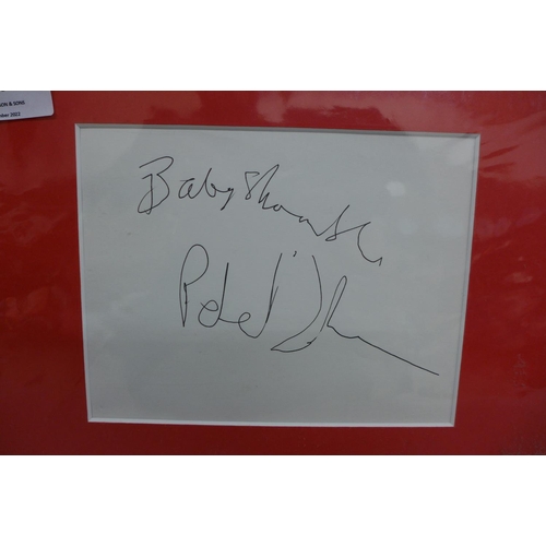 616 - Music Memorabilia, a mounted colour photograph of Peter Doherty signed below - 'Babyshambles Peter D... 