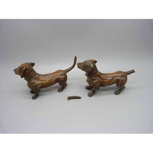 898 - Two cold painted dog figures, one a/f