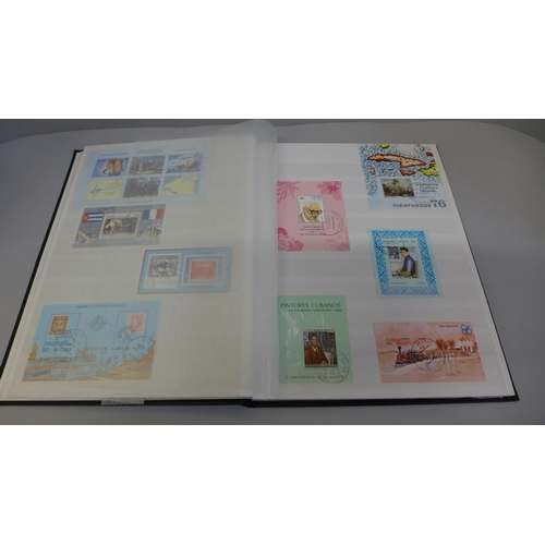 678 - A collection of stamps comprising two stock books of worldwide miniature sheets (one mint, one used)