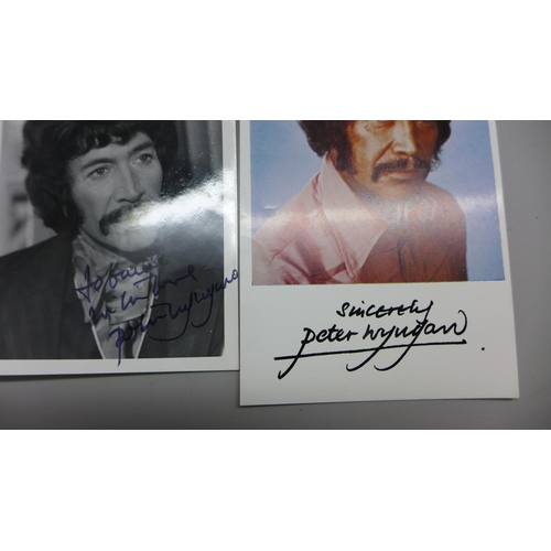 787 - Peter Wyngarde: two small publicity photos, one original and one printed