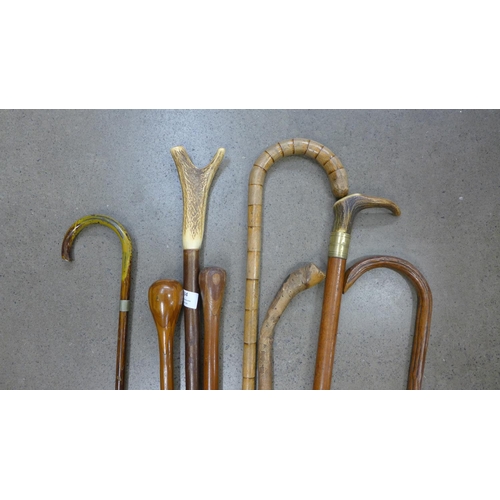 834 - A collection of walking sticks