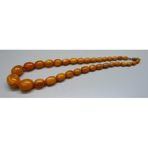 917 - A butterscotch amber necklace, 39g