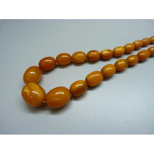 917 - A butterscotch amber necklace, 39g