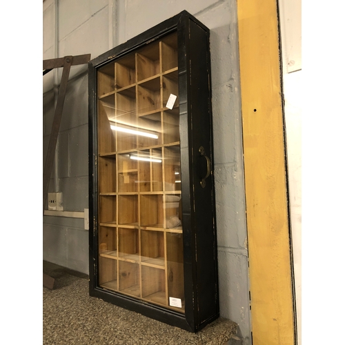 1516 - A wall mounted collectors cabinet