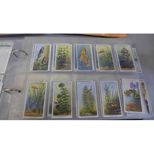 693 - Cigarette cards; two albums of cards in full sets