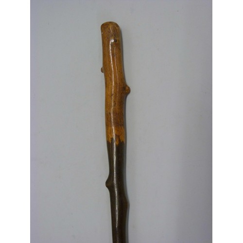 814 - A blackthorn walking stick