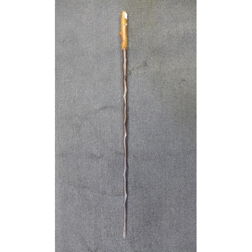 814 - A blackthorn walking stick