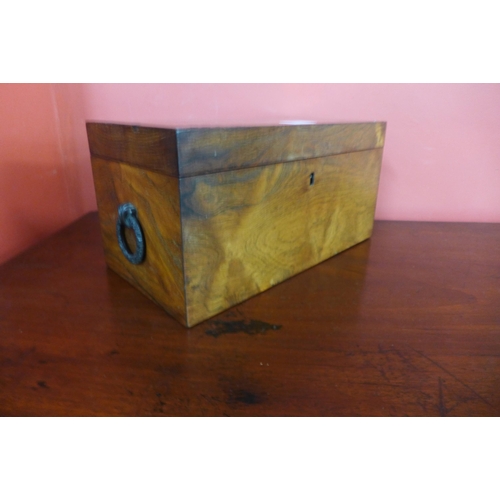 303 - A George IV rosewood tea caddy