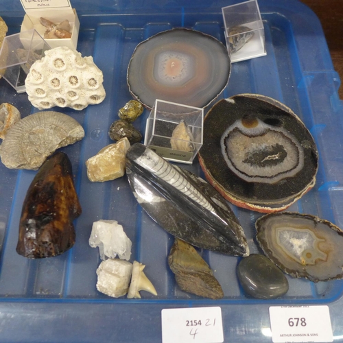 678 - A collection of gemstone and fossil samples