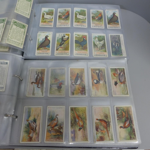 747 - Two albums of John Player cigarette cards; birds, eggs, animals, etc.