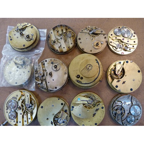 851 - Pocket watch movements