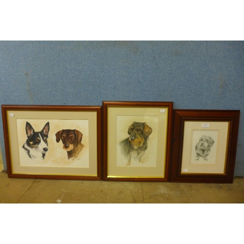 346 - Two studies of dogs, watercolours and a print