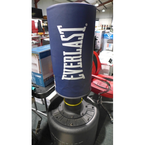 3309 - Everlast Punching Bag Powercore, original RRP £123.99 + VAT (278-34) * This lot is subject to VAT