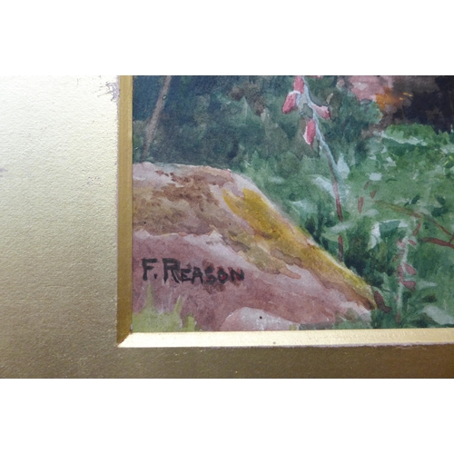 23 - Florence Reason (1859-1933), Foxgloves by a Shallow Pool, watercolour, signed lower left, dated 1909... 