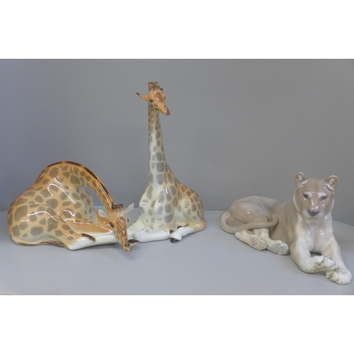 607 - Two USSR made model giraffe and a Royal Copenhagen lioness