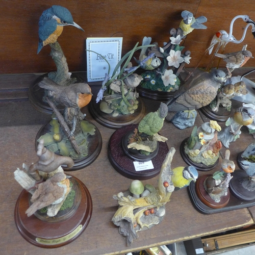 669 - Eight Country Artists figures of British birds, seven other figures of birds and two glass flamingos... 