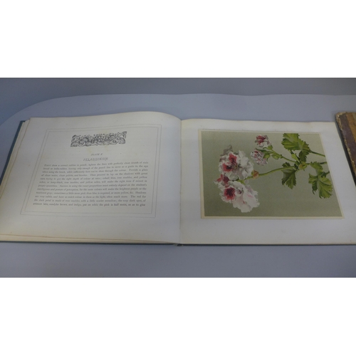 700 - One volume, Flowers and How To Paint Them by Maud Naftel and a 19th Century album of pressed flowers