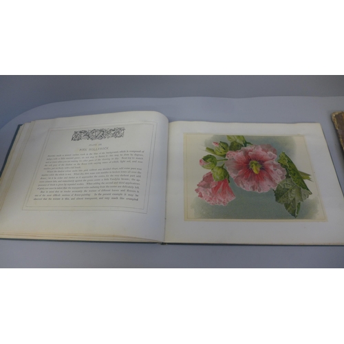 700 - One volume, Flowers and How To Paint Them by Maud Naftel and a 19th Century album of pressed flowers