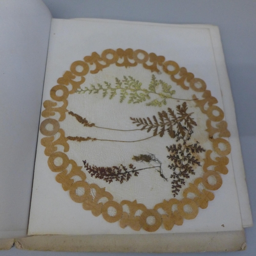 700 - One volume, Flowers and How To Paint Them by Maud Naftel and a 19th Century album of pressed flowers