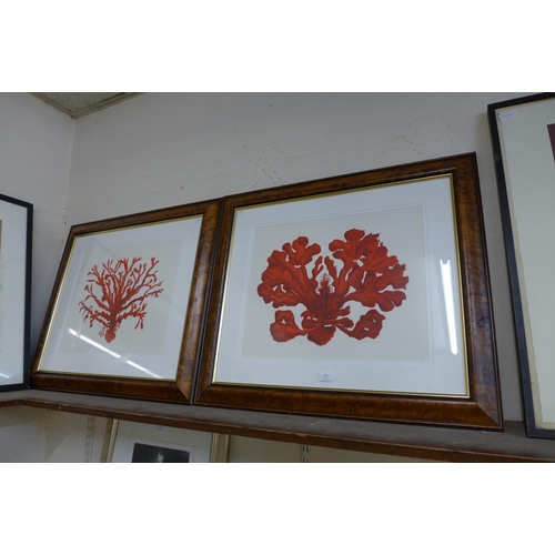 267 - A pair of floral abstract watercolours, unsigned, framed