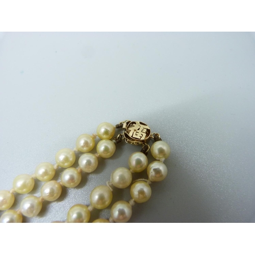 1006 - A double row pearl necklace with a 14ct gold Chinese style clasp